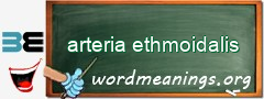 WordMeaning blackboard for arteria ethmoidalis